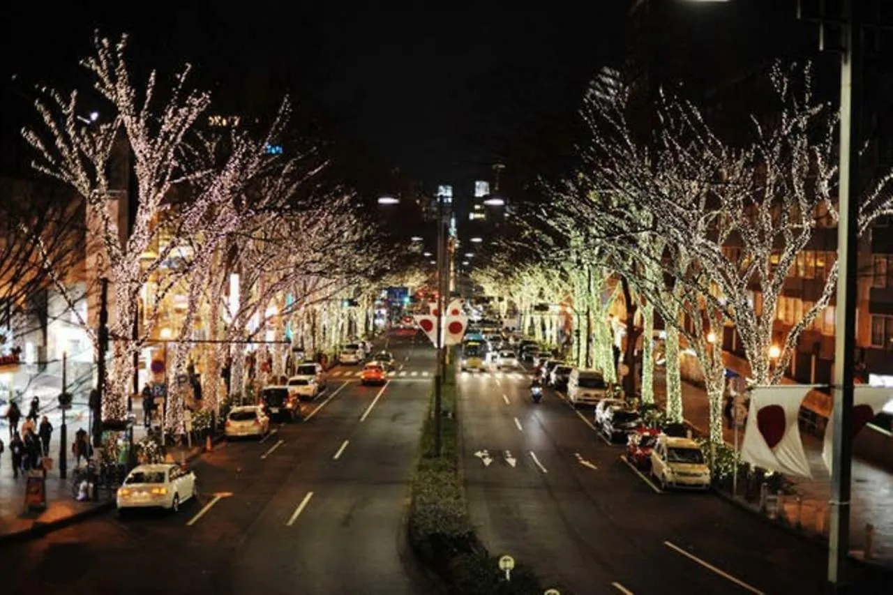 Evergreen Shinjuku Luxe #2M14 Tokyo